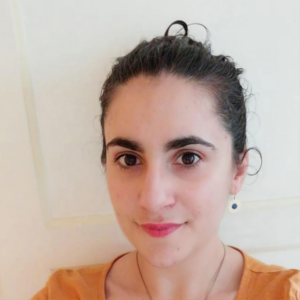 Aperam Services & Solutions France